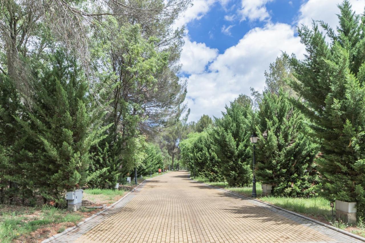 Apartment Rurales El Colvillo *
